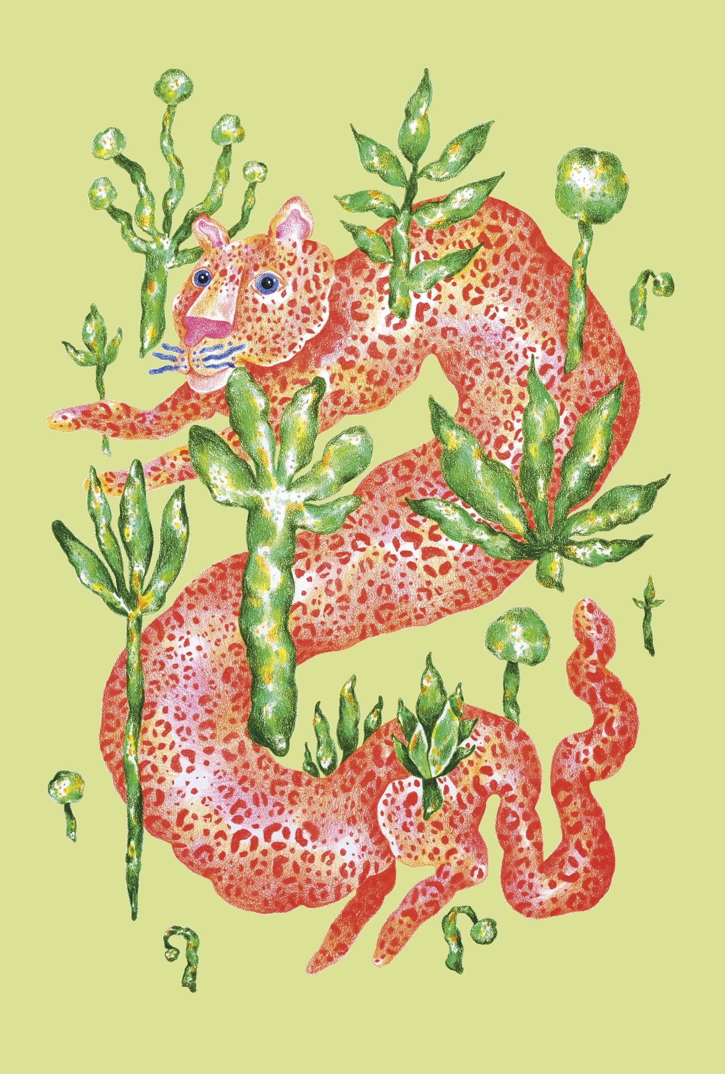 Postcard set "5 elements"