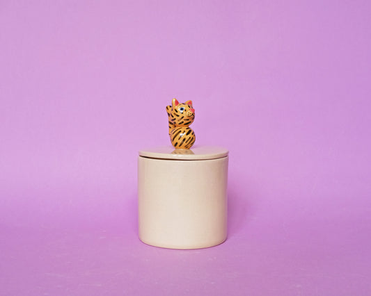 Ceramic Tiger Box #1