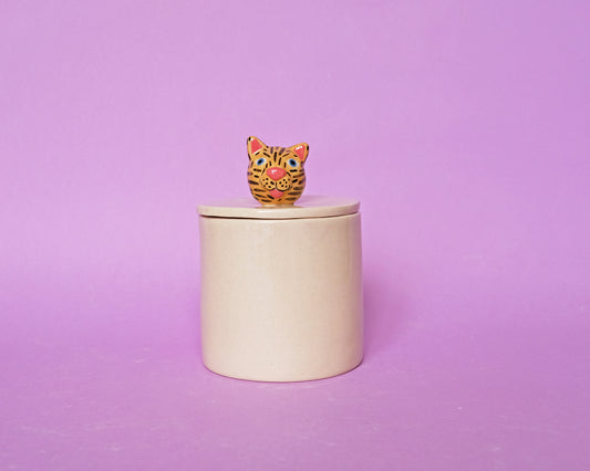 Ceramic Tiger Box #2