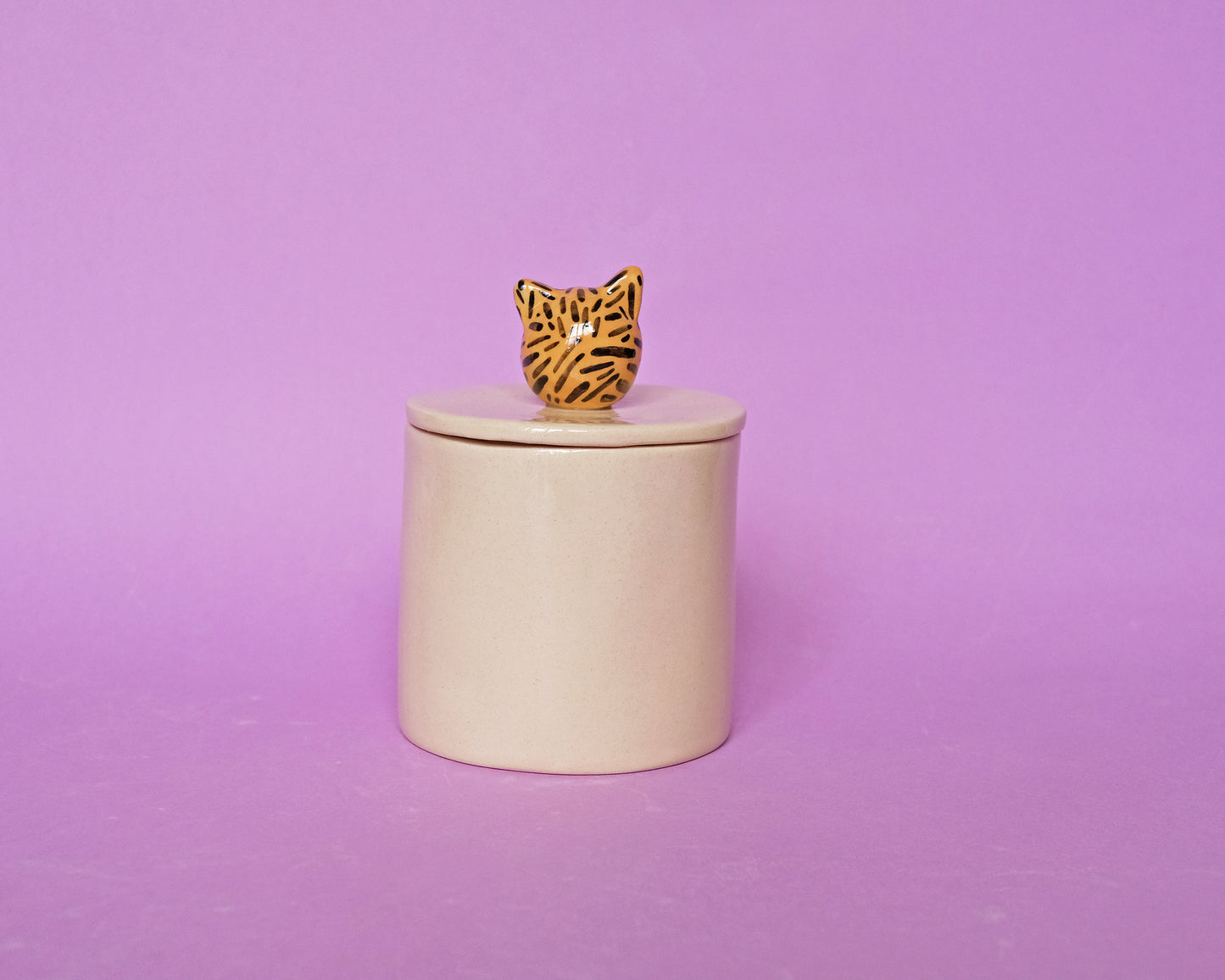 Ceramic Tiger Box #2