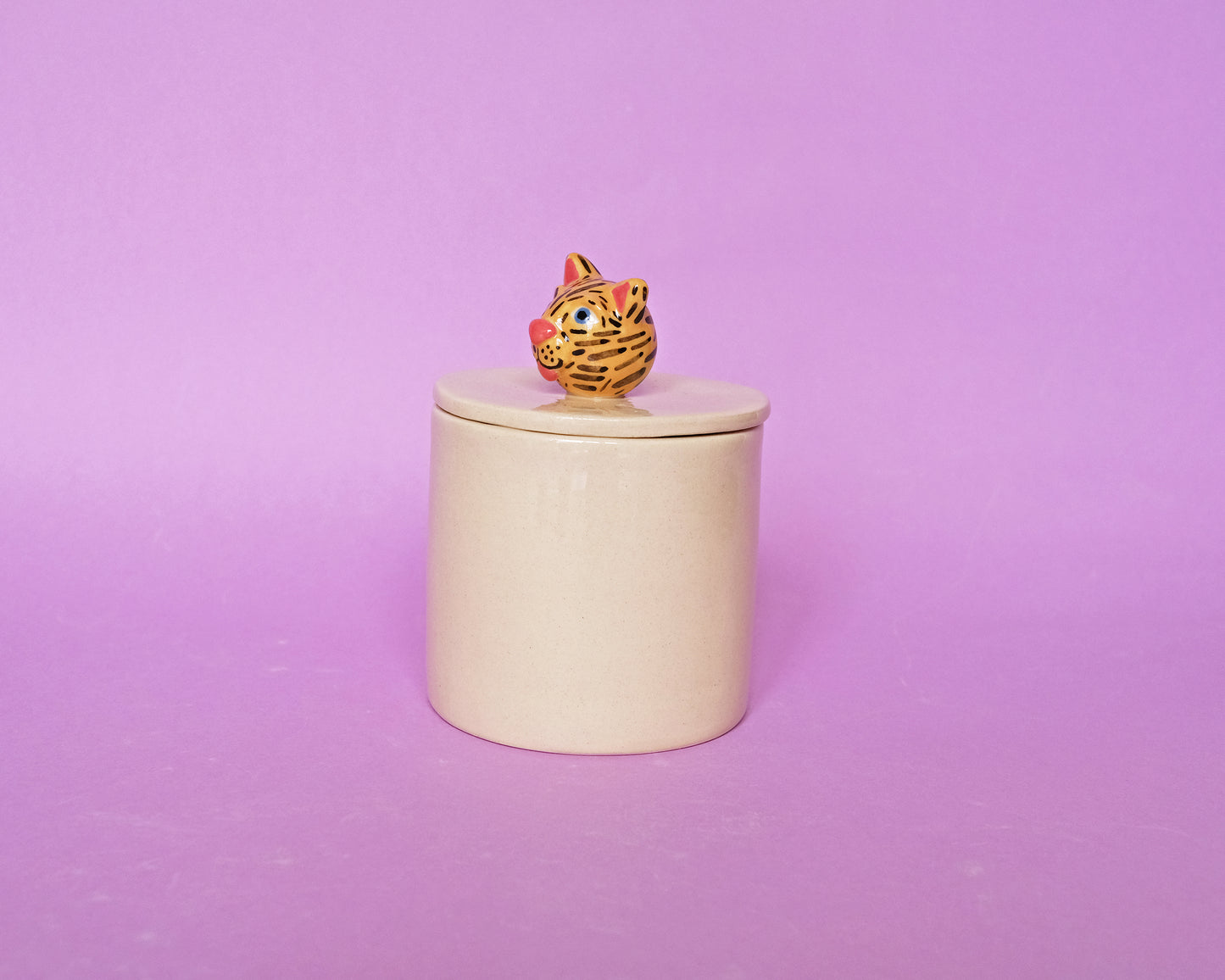 Ceramic Tiger Box #2