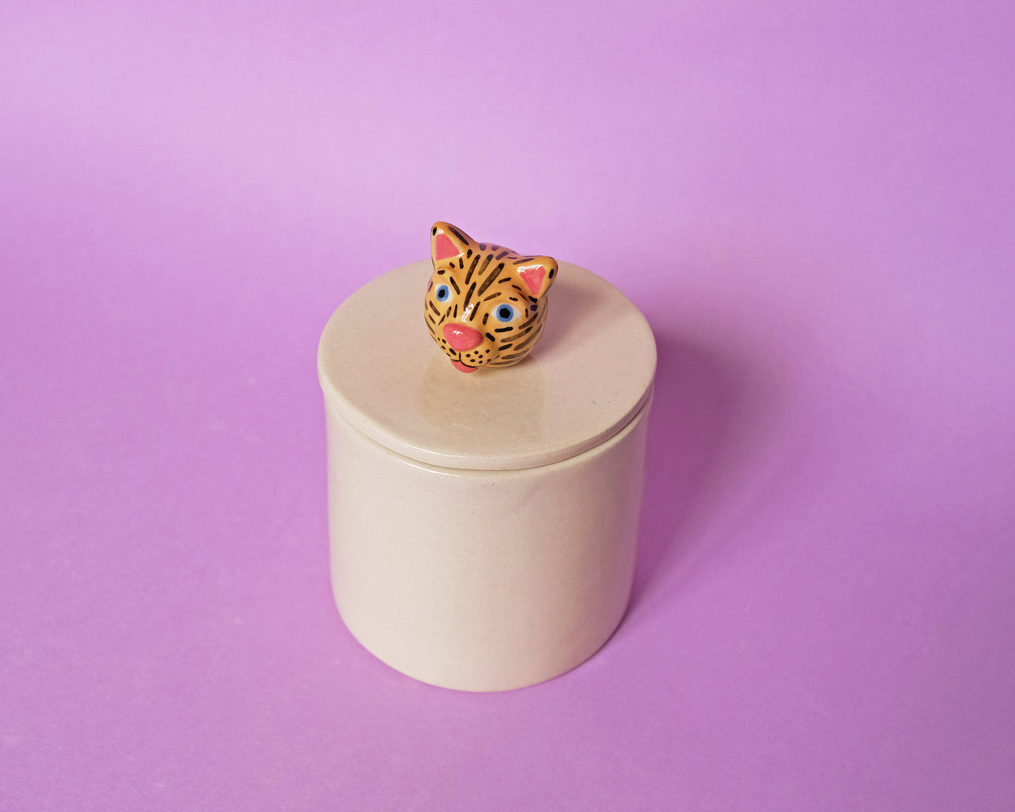 Ceramic Tiger Box #2
